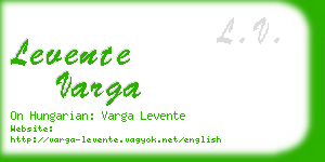 levente varga business card